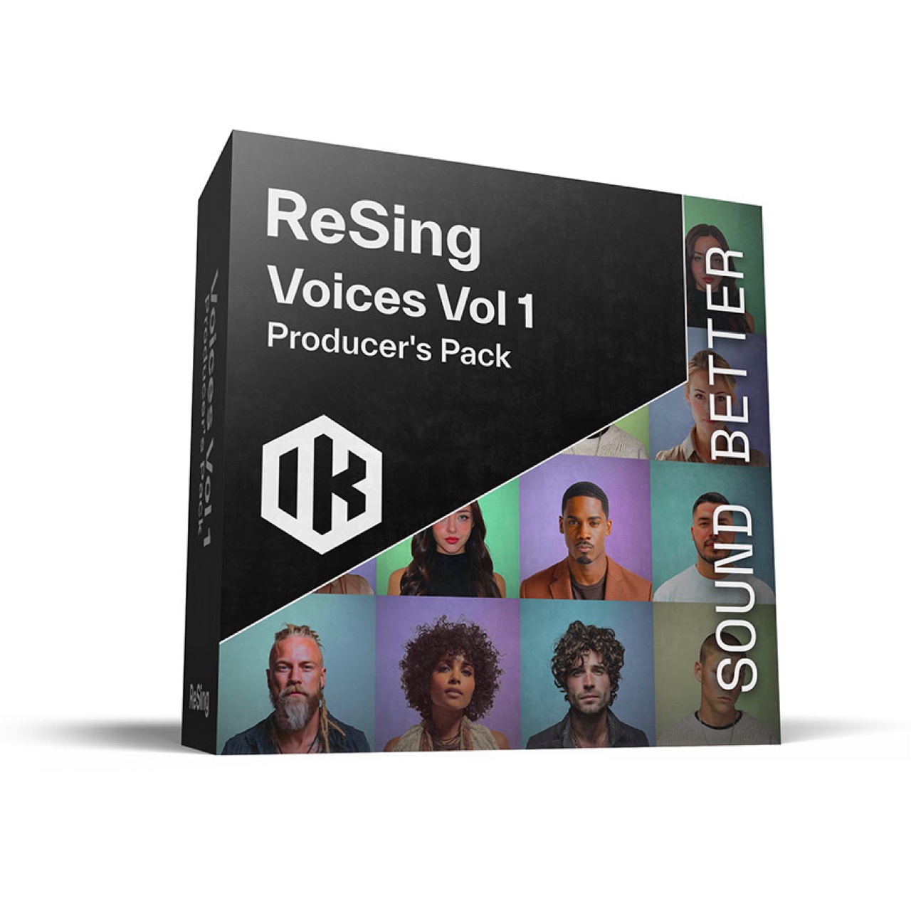 IK Multimedia ReSing Voices Vol 1 Producer's Pack (ReSing Free 유저용 ...
