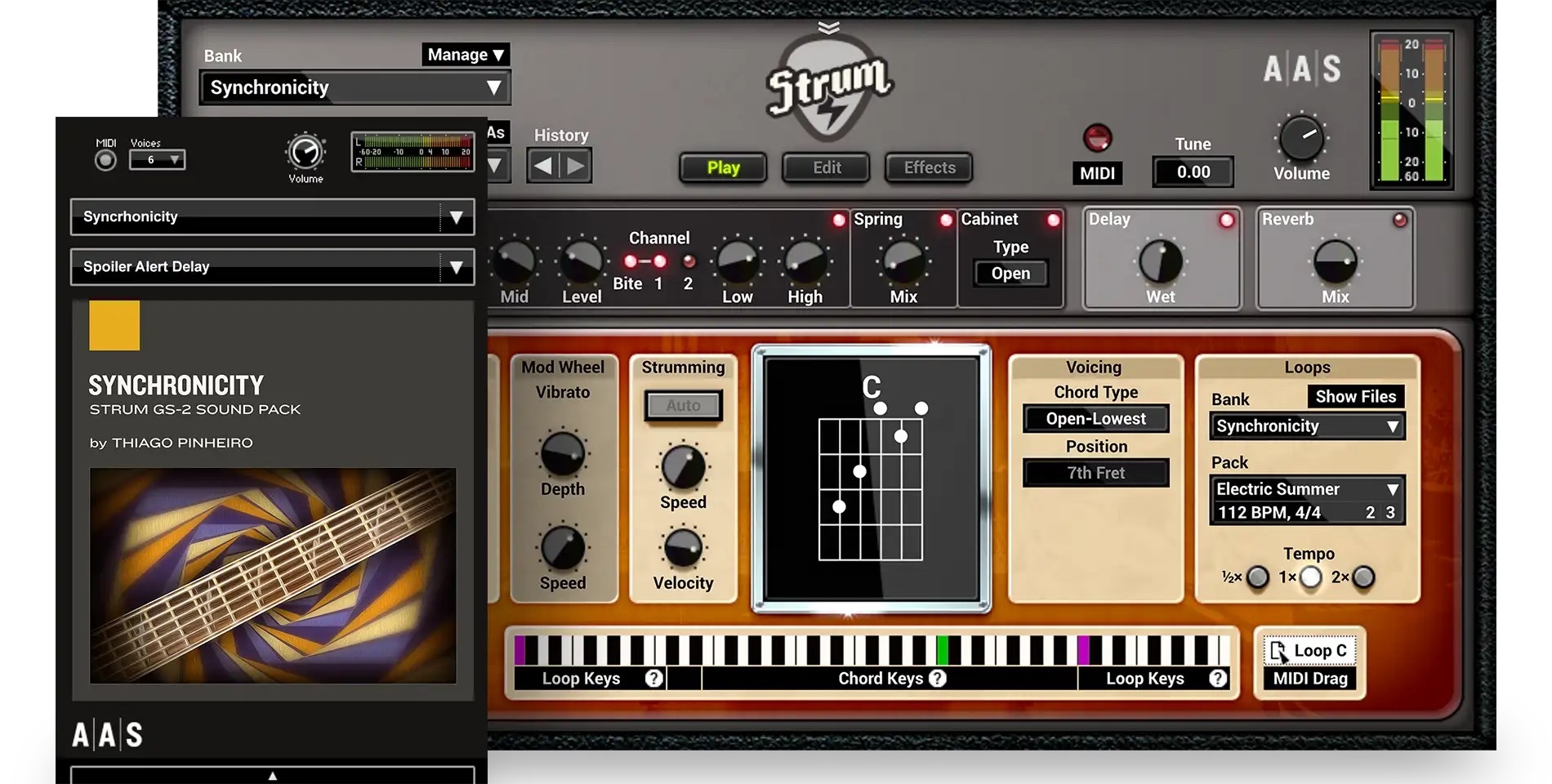 Applied Acoustics Systems Synchronicity - Strum GS-2 Sound Pack ...