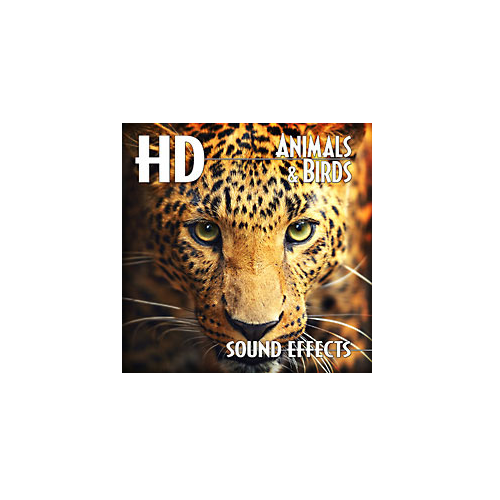 Sound Ideas HD Animals & Birds Sound Effects Gearlounge