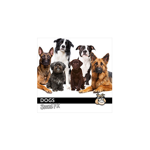 Sound Ideas Dogs Sound FX Gearlounge