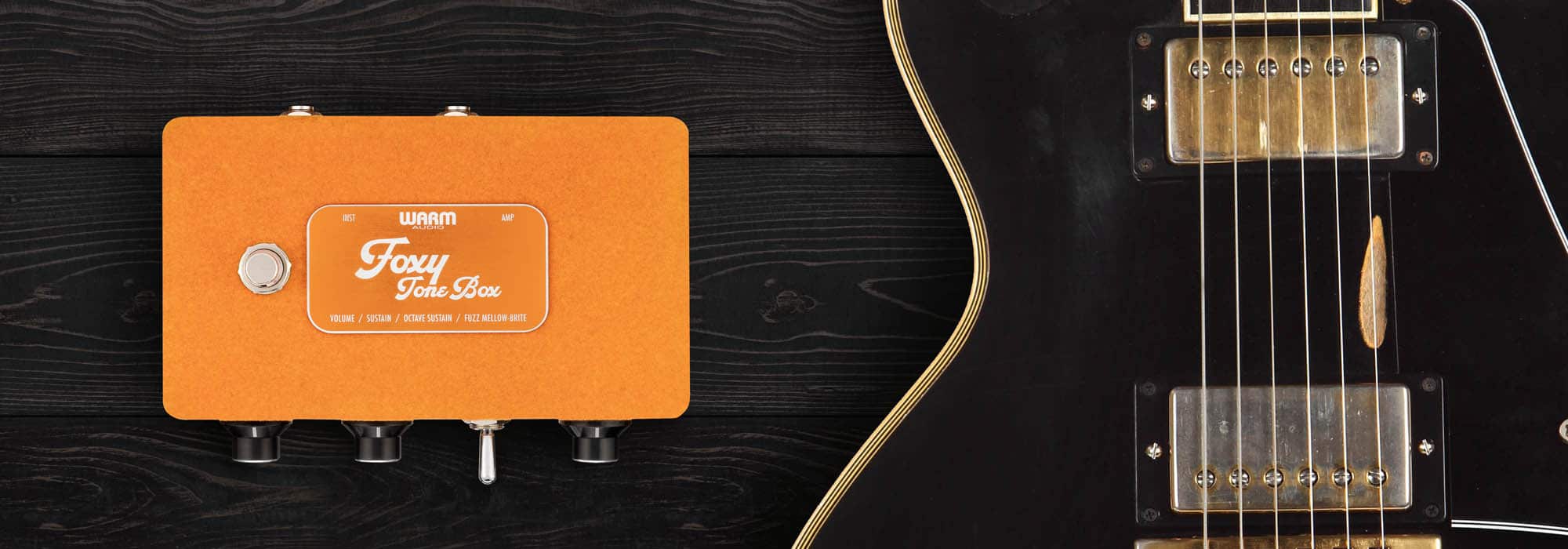 Warm Audio Foxy Tone Box - GEARLOUNGE