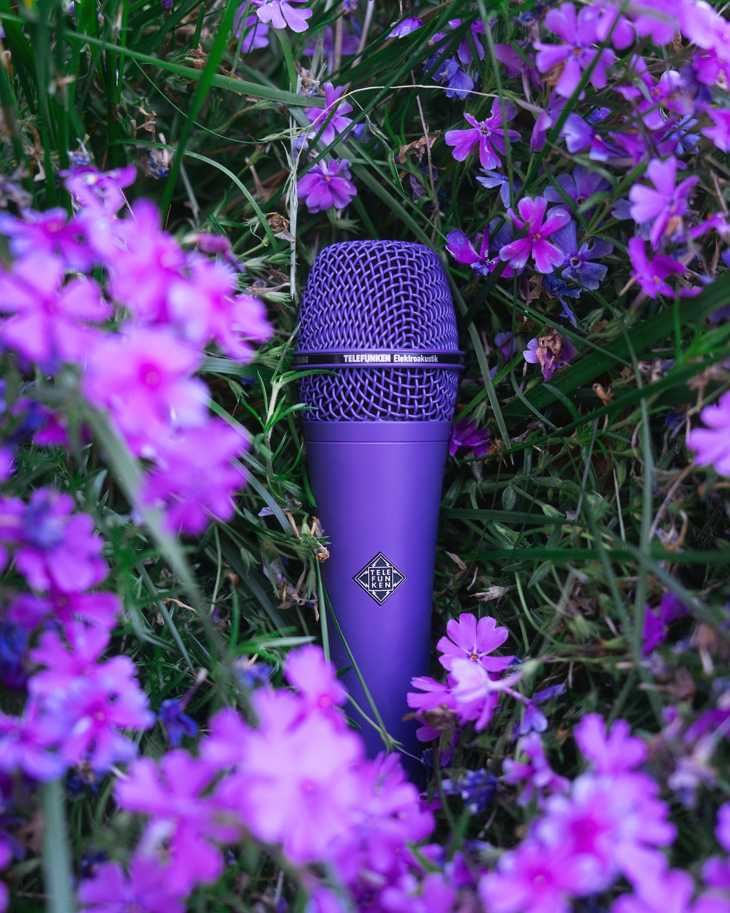 Telefunken M80 Custom - Solid Color Body - GEARLOUNGE