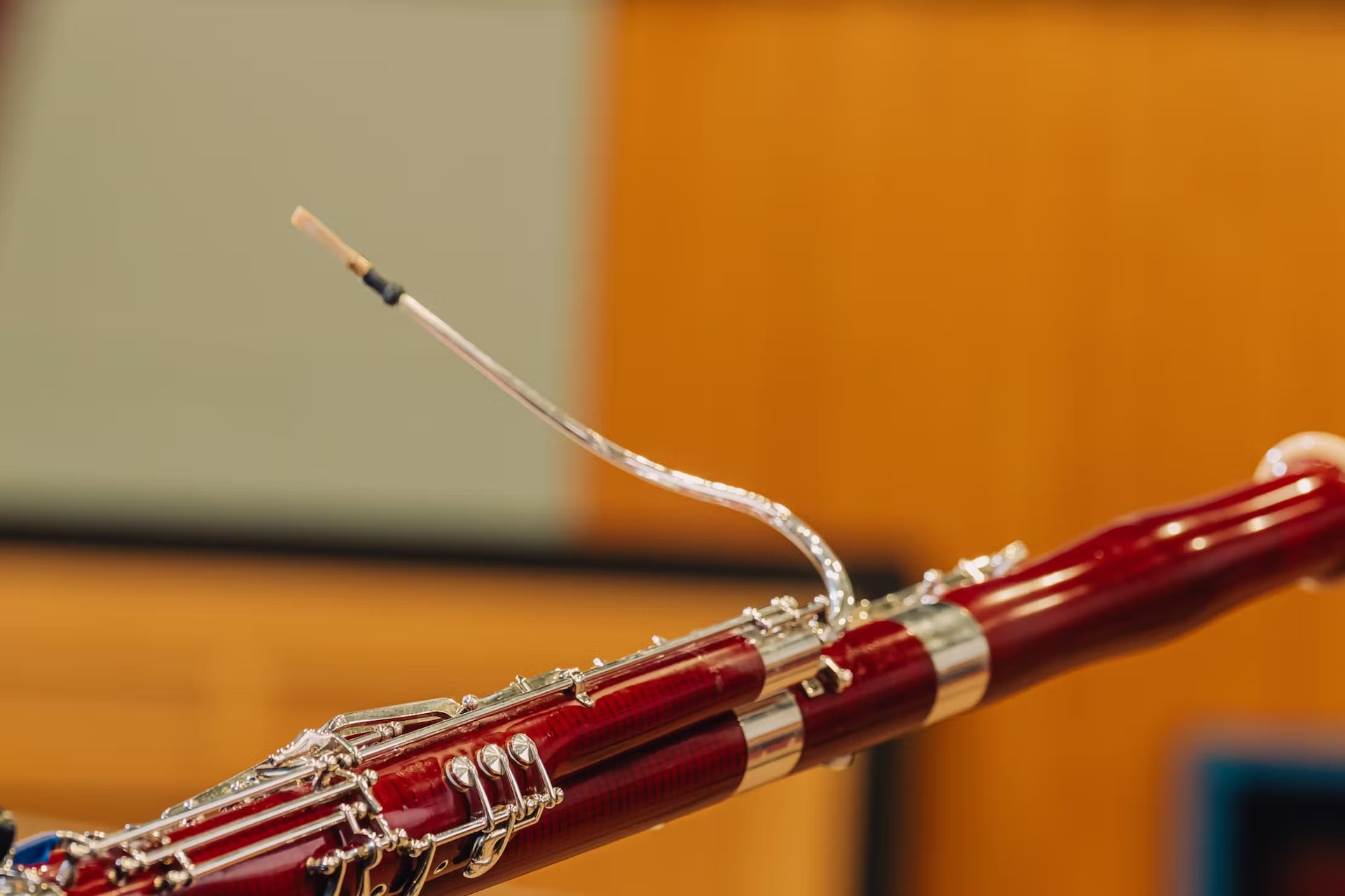 Spitfire Audio Abbey Road Orchestra: Bassoons Core - GEARLOUNGE