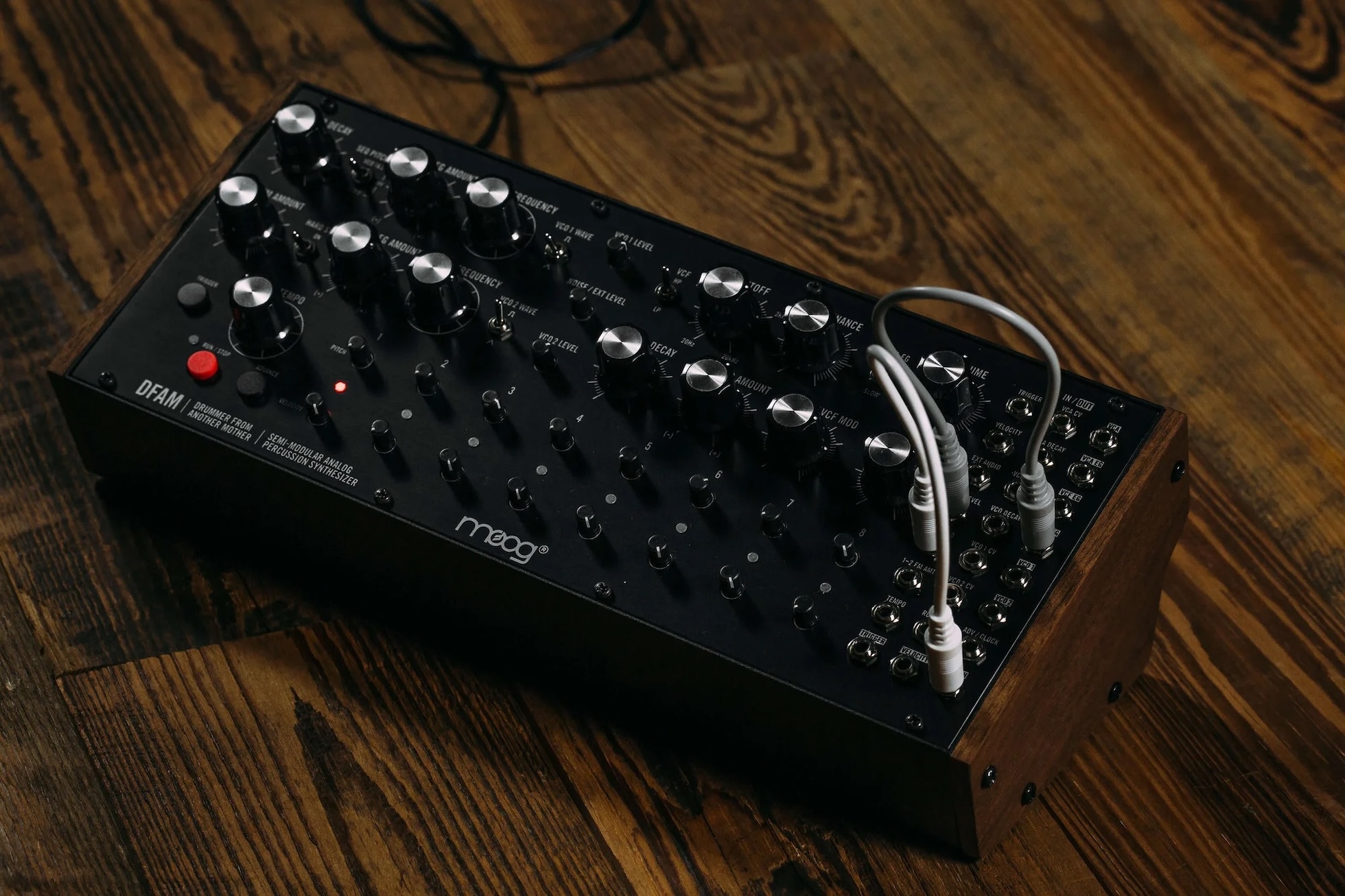 Moog Music DFAM – Drummer from Another Mother - Gearlounge