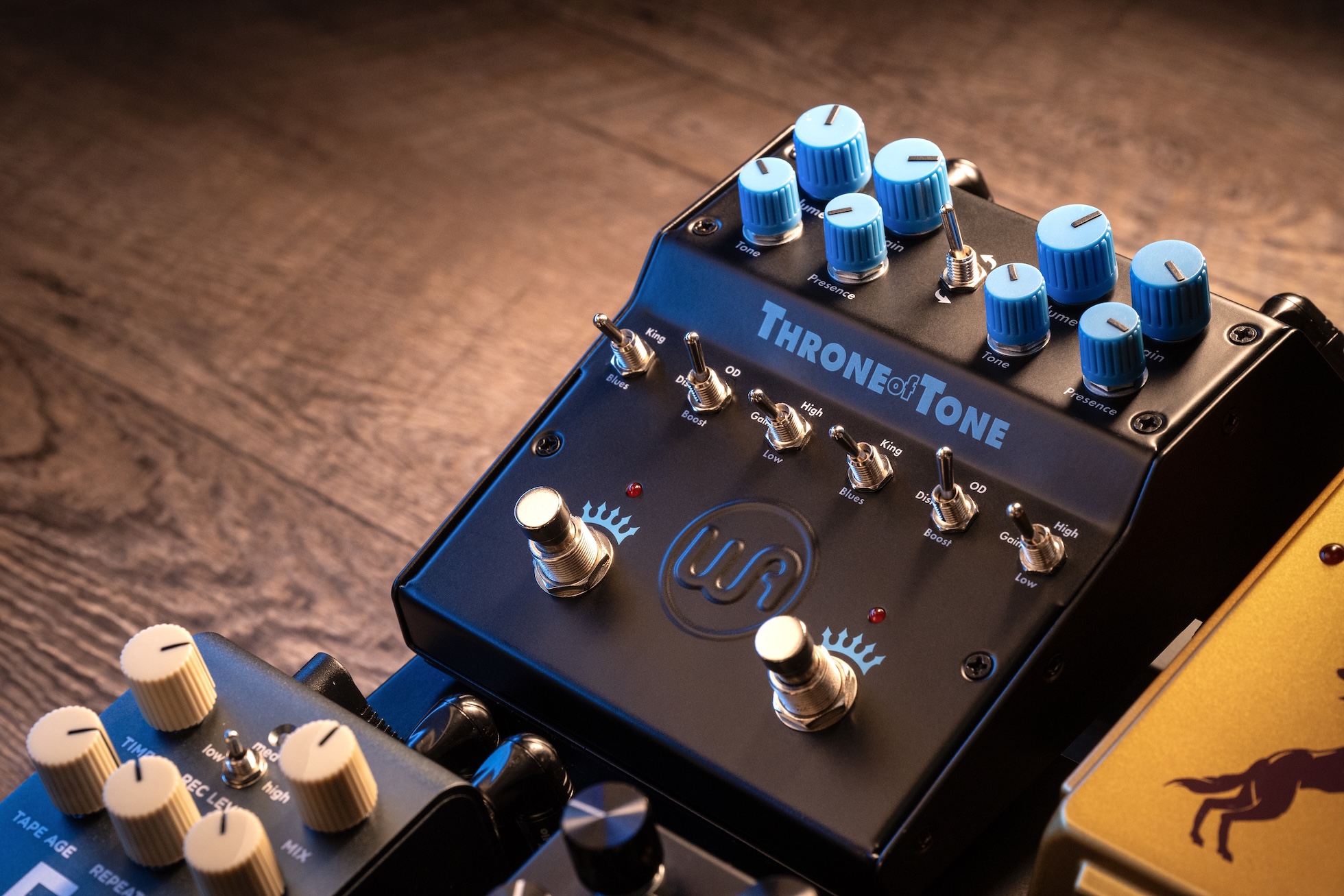 Warm Audio] Throne of Tone & Tube Squealer 공개 - GEARLOUNGE